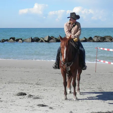 Appartement Buednerei 51 *